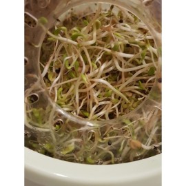 Проращиватель семян автоматический Vitaseed